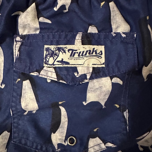 Trunks Surf and Swim Co Penguin Men’s M - Swimming Trunks- Like New - Picture 3 of 5